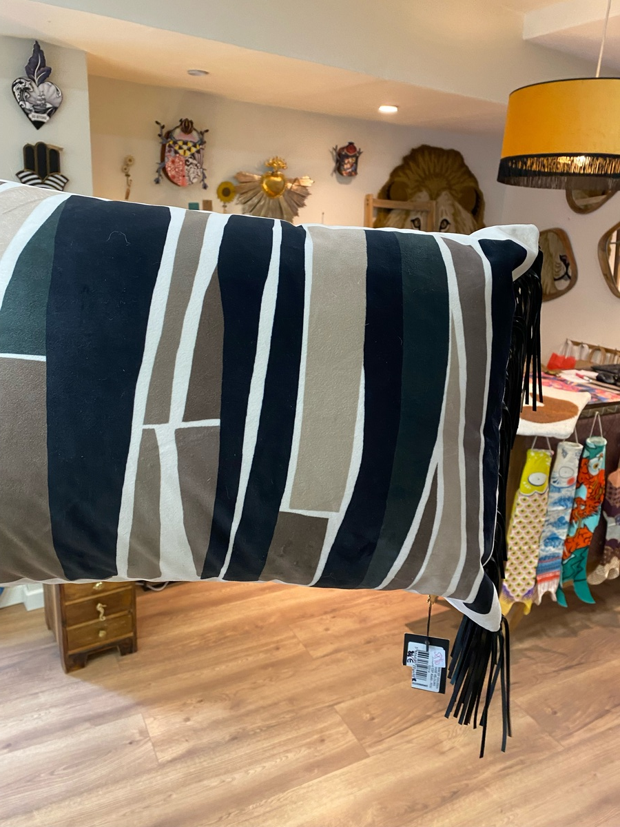 Coussin rectangulaire velours   franges