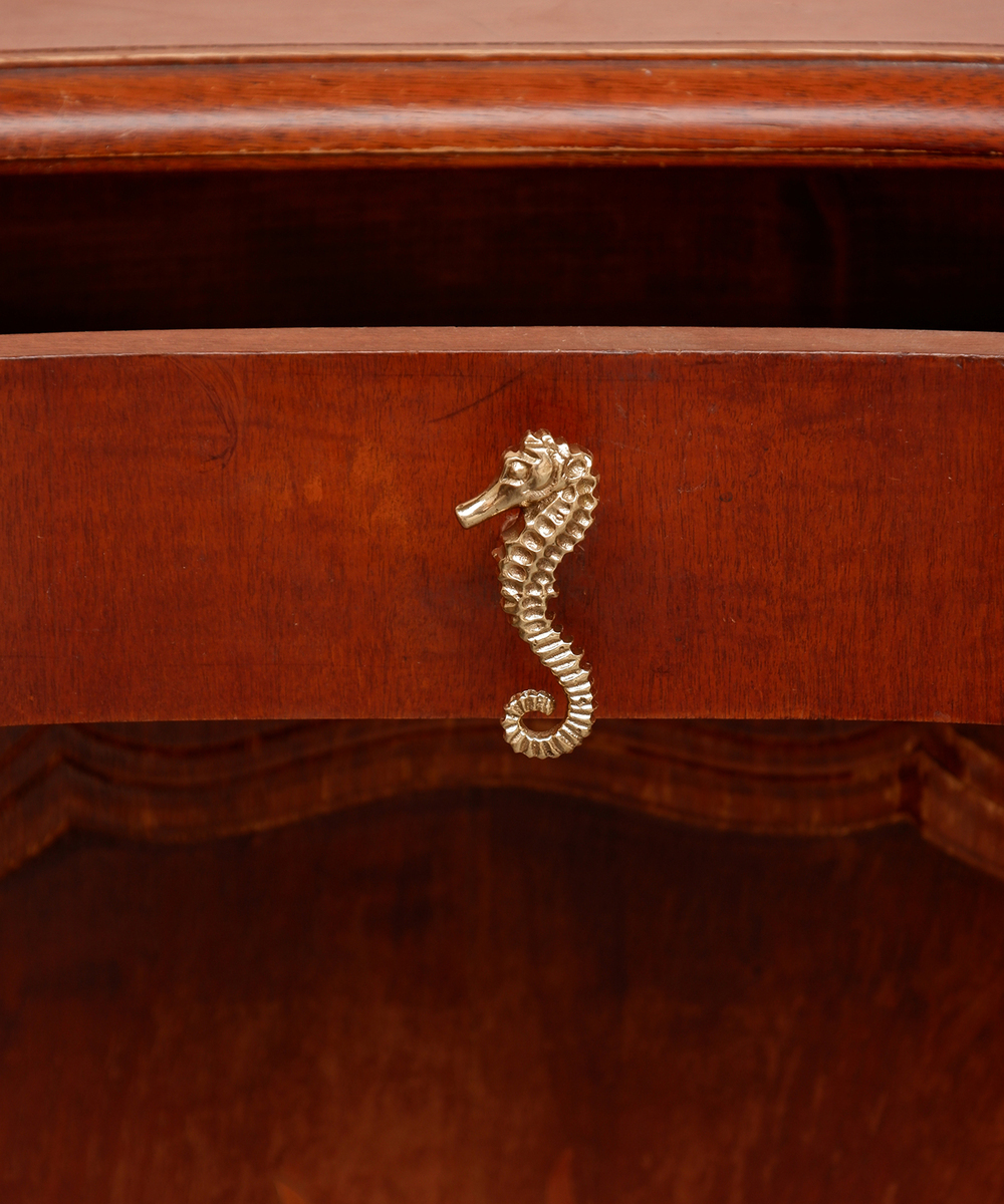 Bouton de tiroir hippocampe